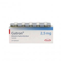 Гутрон таблетки 2,5 мг. №20 в Калуге и области фото